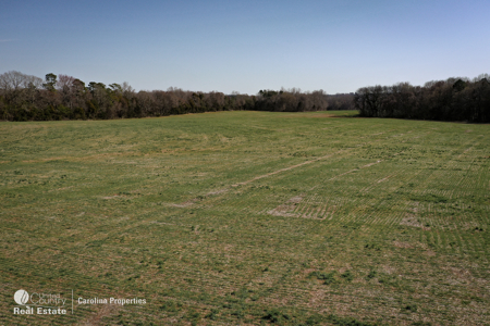 Prime North Carolina Tillable Farmland with Mature Hardwood Stand - image 17