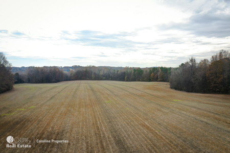 Prime North Carolina Tillable Farmland with Mature Hardwood Stand - image 29