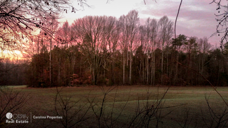 Prime North Carolina Tillable Farmland with Mature Hardwood Stand - image 7