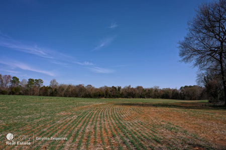 Prime North Carolina Tillable Farmland with Mature Hardwood Stand - image 32