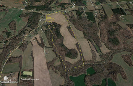 Prime North Carolina Tillable Farmland with Mature Hardwood Stand - image 3