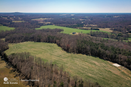 Prime North Carolina Tillable Farmland with Mature Hardwood Stand - image 33