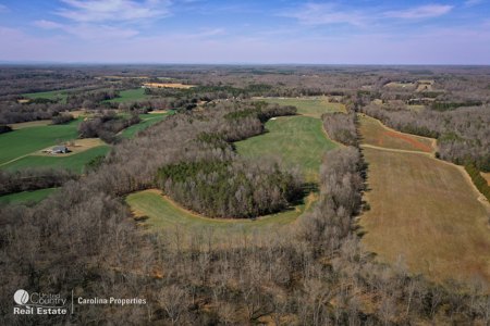 Prime North Carolina Tillable Farmland with Mature Hardwood Stand - image 22