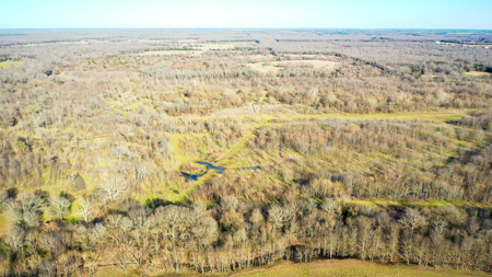 Prime Texas Hunting Land For Sale in Sumner TX - image 8