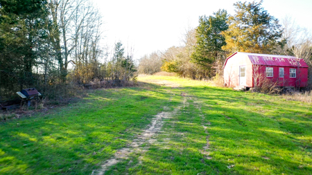 Prime Texas Hunting Land For Sale in Sumner TX - image 25