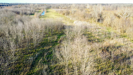 Prime Texas Hunting Land For Sale in Sumner TX - image 41