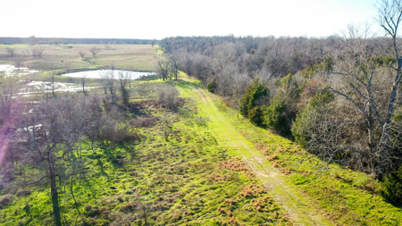 Prime Texas Hunting Land For Sale in Sumner TX - image 27