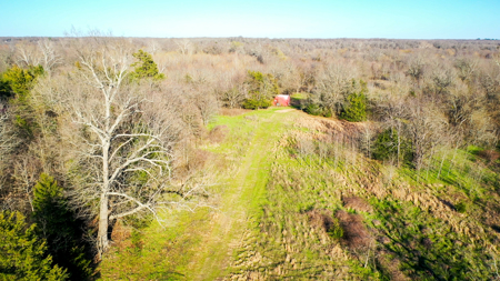 Prime Texas Hunting Land For Sale in Sumner TX - image 31
