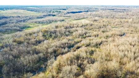 Prime Texas Hunting Land For Sale in Sumner TX - image 36