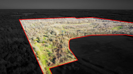 Prime Texas Hunting Land For Sale in Sumner TX - image 1