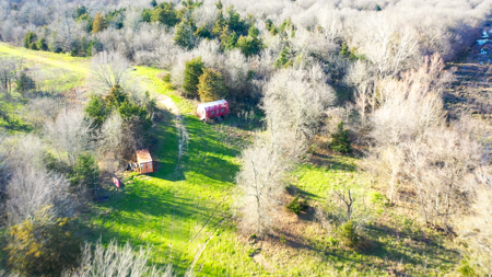 Prime Texas Hunting Land For Sale in Sumner TX - image 20