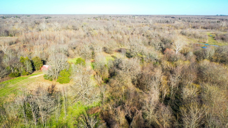 Prime Texas Hunting Land For Sale in Sumner TX - image 12