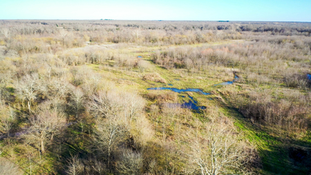 Prime Texas Hunting Land For Sale in Sumner TX - image 14