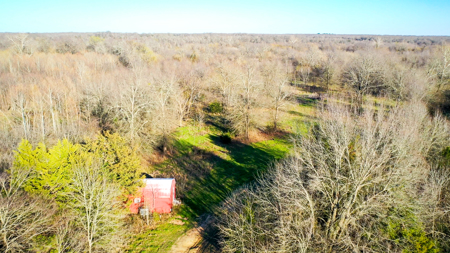 Prime Texas Hunting Land For Sale in Sumner TX - image 32