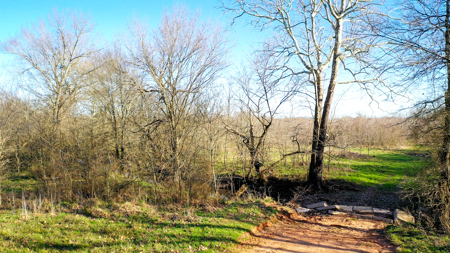 Prime Texas Hunting Land For Sale in Sumner TX - image 5