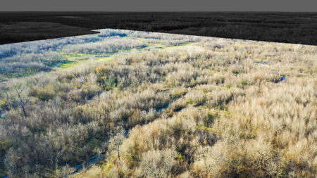 Prime Texas Hunting Land For Sale in Sumner TX - image 4