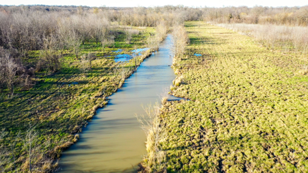 Prime Texas Hunting Land For Sale in Sumner TX - image 43