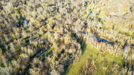 Prime Texas Hunting Land For Sale in Sumner TX - image 48