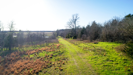 Prime Texas Hunting Land For Sale in Sumner TX - image 26