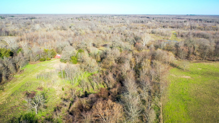 Prime Texas Hunting Land For Sale in Sumner TX - image 11