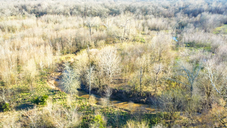 Prime Texas Hunting Land For Sale in Sumner TX - image 17