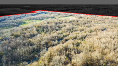 Prime Texas Hunting Land For Sale in Sumner TX - image 3