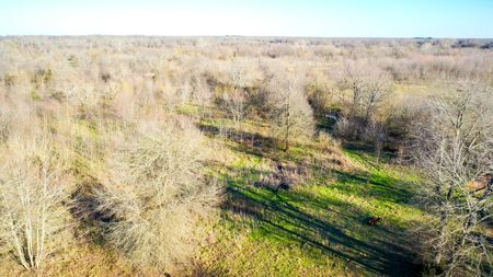 Prime Texas Hunting Land For Sale in Sumner TX - image 34