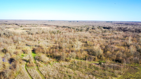 Prime Texas Hunting Land For Sale in Sumner TX - image 7