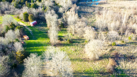 Prime Texas Hunting Land For Sale in Sumner TX - image 46