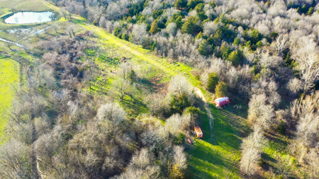 Prime Texas Hunting Land For Sale in Sumner TX - image 47