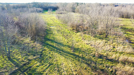 Prime Texas Hunting Land For Sale in Sumner TX - image 44