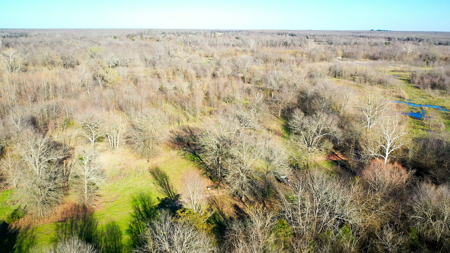Prime Texas Hunting Land For Sale in Sumner TX - image 13