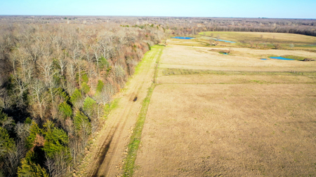 Prime Texas Hunting Land For Sale in Sumner TX - image 29