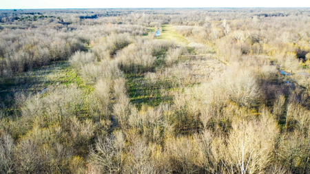 Prime Texas Hunting Land For Sale in Sumner TX - image 40