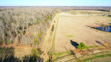 Prime Texas Hunting Land For Sale in Sumner TX - image 28