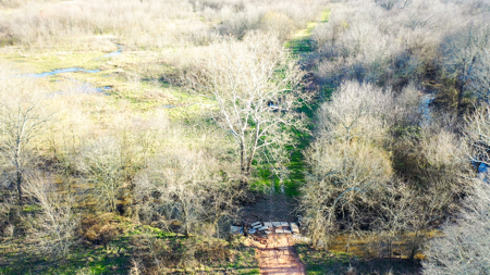 Prime Texas Hunting Land For Sale in Sumner TX - image 22