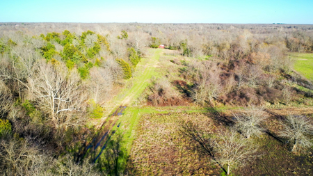 Prime Texas Hunting Land For Sale in Sumner TX - image 30