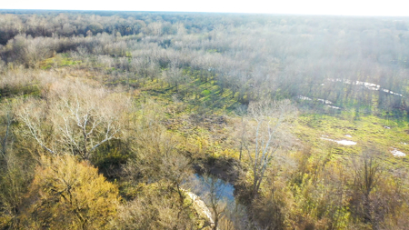 Prime Texas Hunting Land For Sale in Sumner TX - image 37