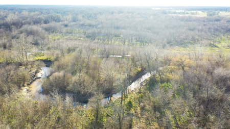 Prime Texas Hunting Land For Sale in Sumner TX - image 16
