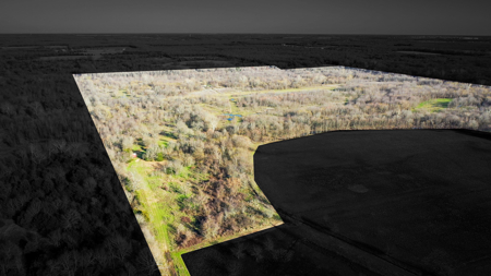 Prime Texas Hunting Land For Sale in Sumner TX - image 2