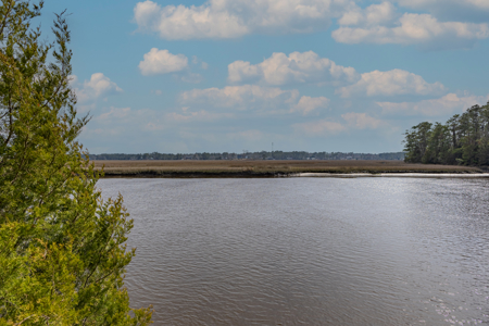 Riverfront Land in Brunswick County NC - image 7