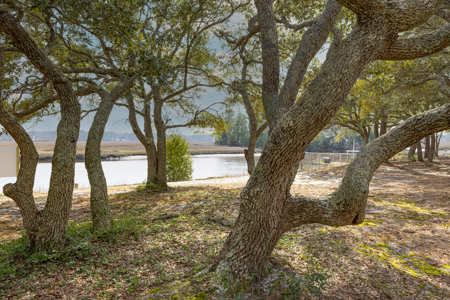 Riverfront Land in Brunswick County NC - image 11