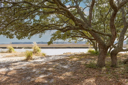 Riverfront Land in Brunswick County NC - image 4