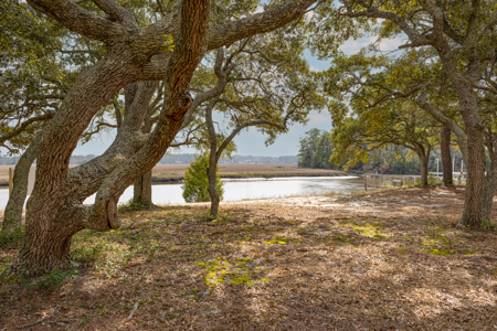 Riverfront Land in Brunswick County NC - image 12