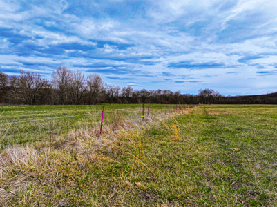 Land For Sale Dallas County, Mo - image 29