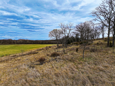 Land For Sale Dallas County, Mo - image 36
