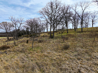 Land For Sale Dallas County, Mo - image 35