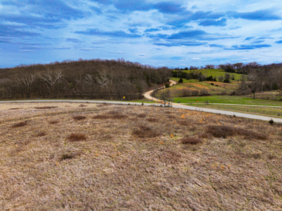 Land For Sale Dallas County, Mo - image 40
