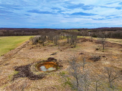 Land For Sale Dallas County, Mo - image 34