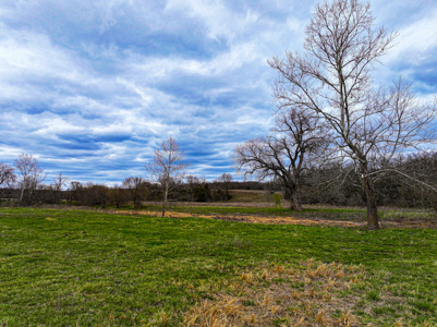 Land For Sale Dallas County, Mo - image 21